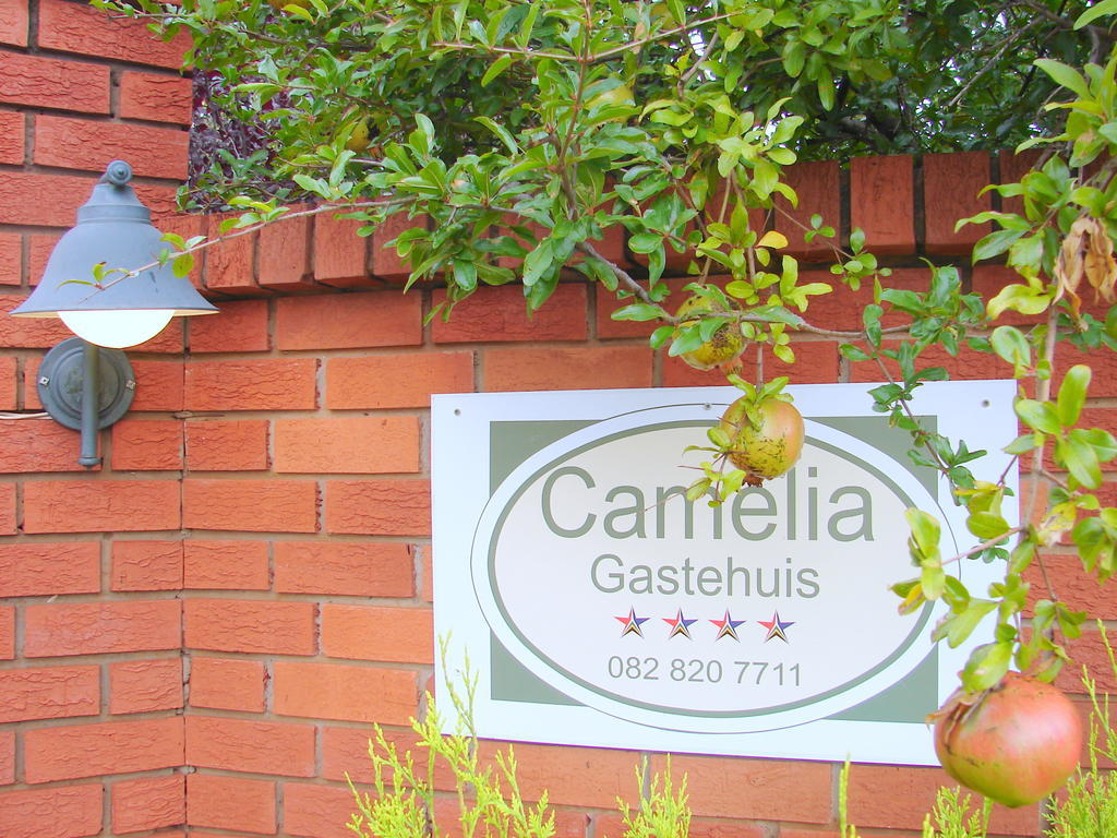 Camelia Guest House 布隆方丹 外观 照片